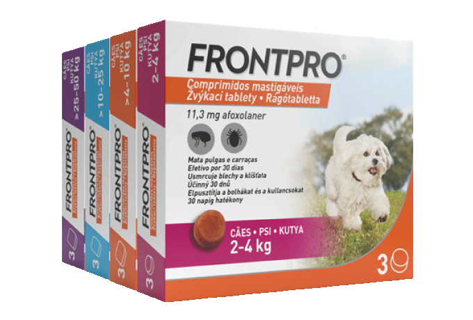 frontpro psy